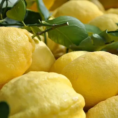 Marigliano Massa Lubrense